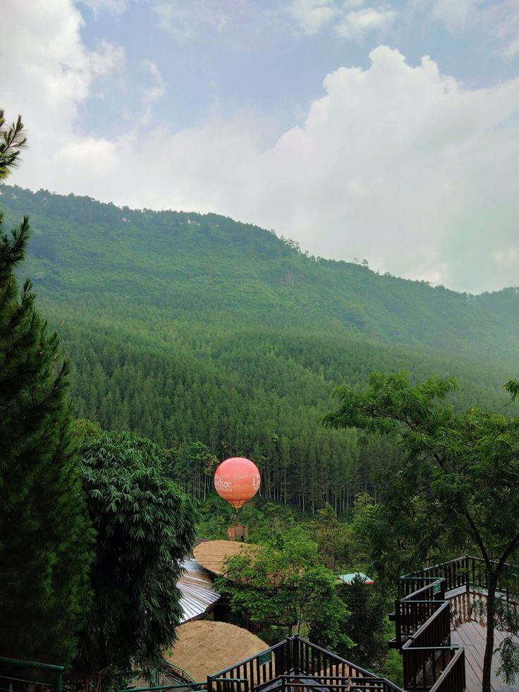 Description of image 6