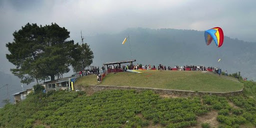 Description of image 6